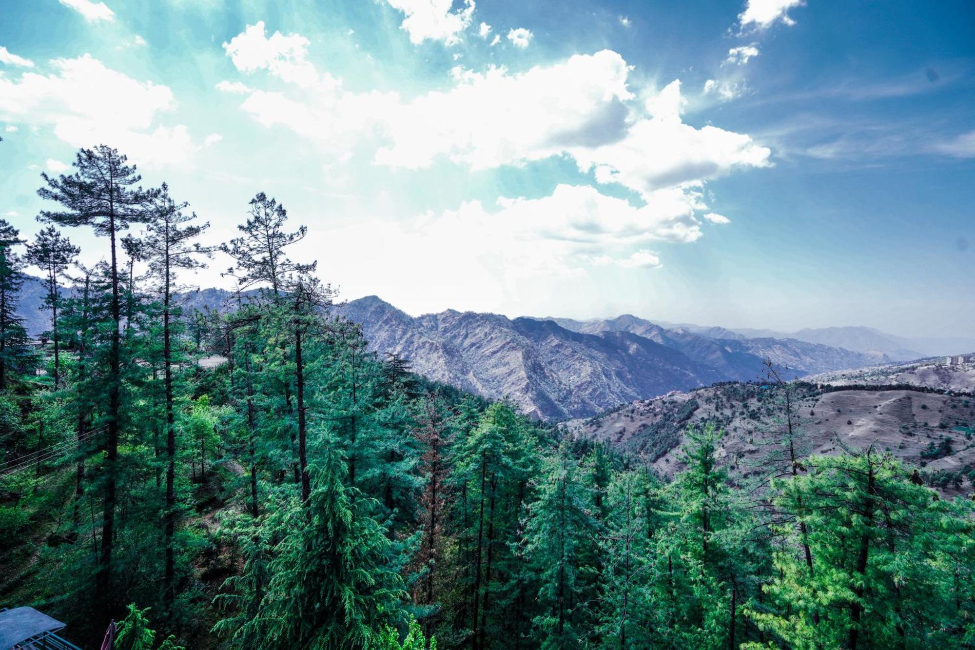 Aachman Nature Valley Resort Mashobra By Naina Staycation- Private Parking - Balcony And Valley View Rooms Shimla Dış mekan fotoğraf